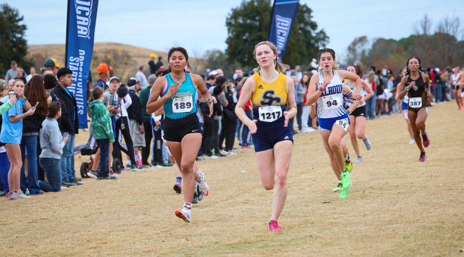 Cross Country athletes racing to the finish line.