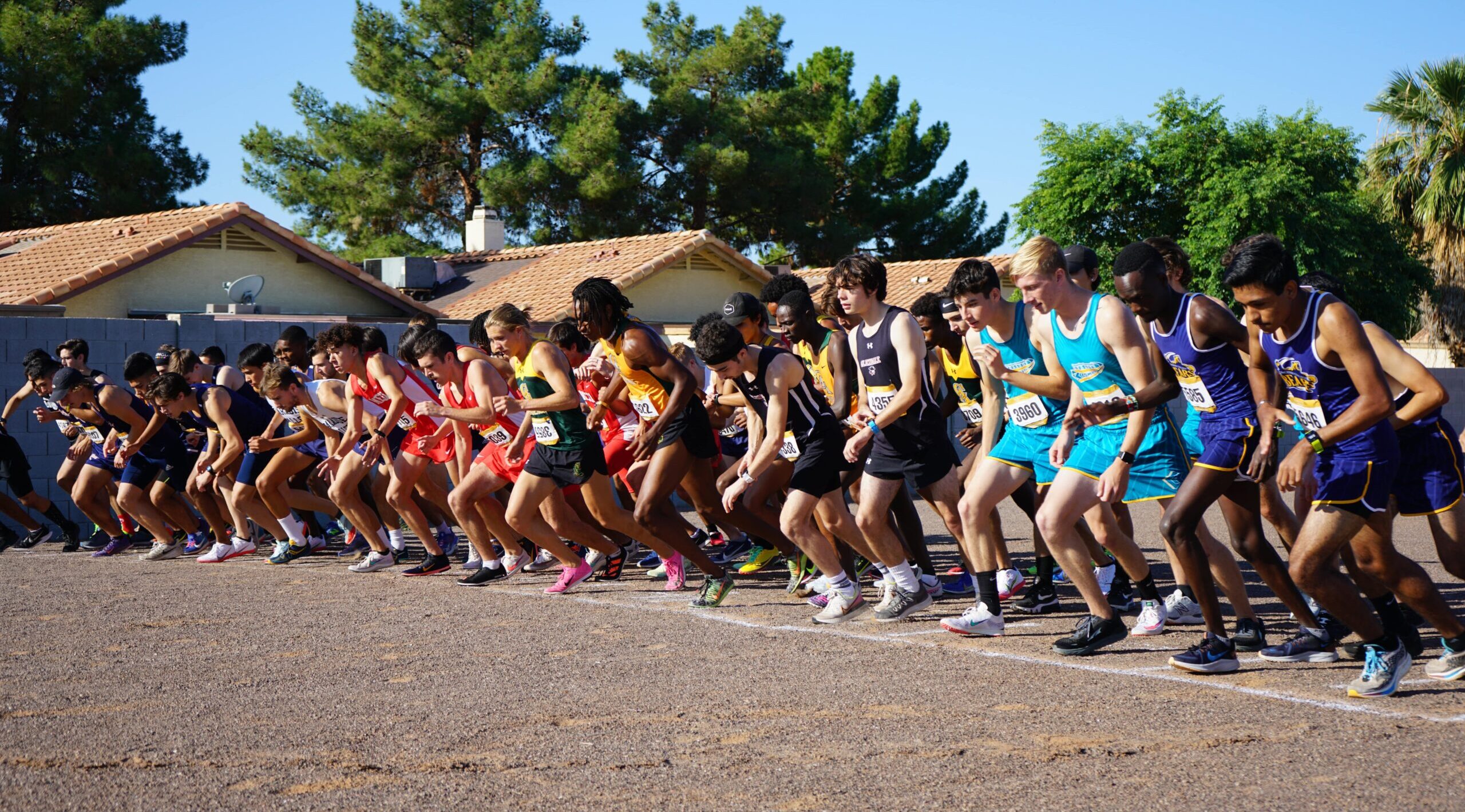 Runners take off from the starting line during a cross country race.