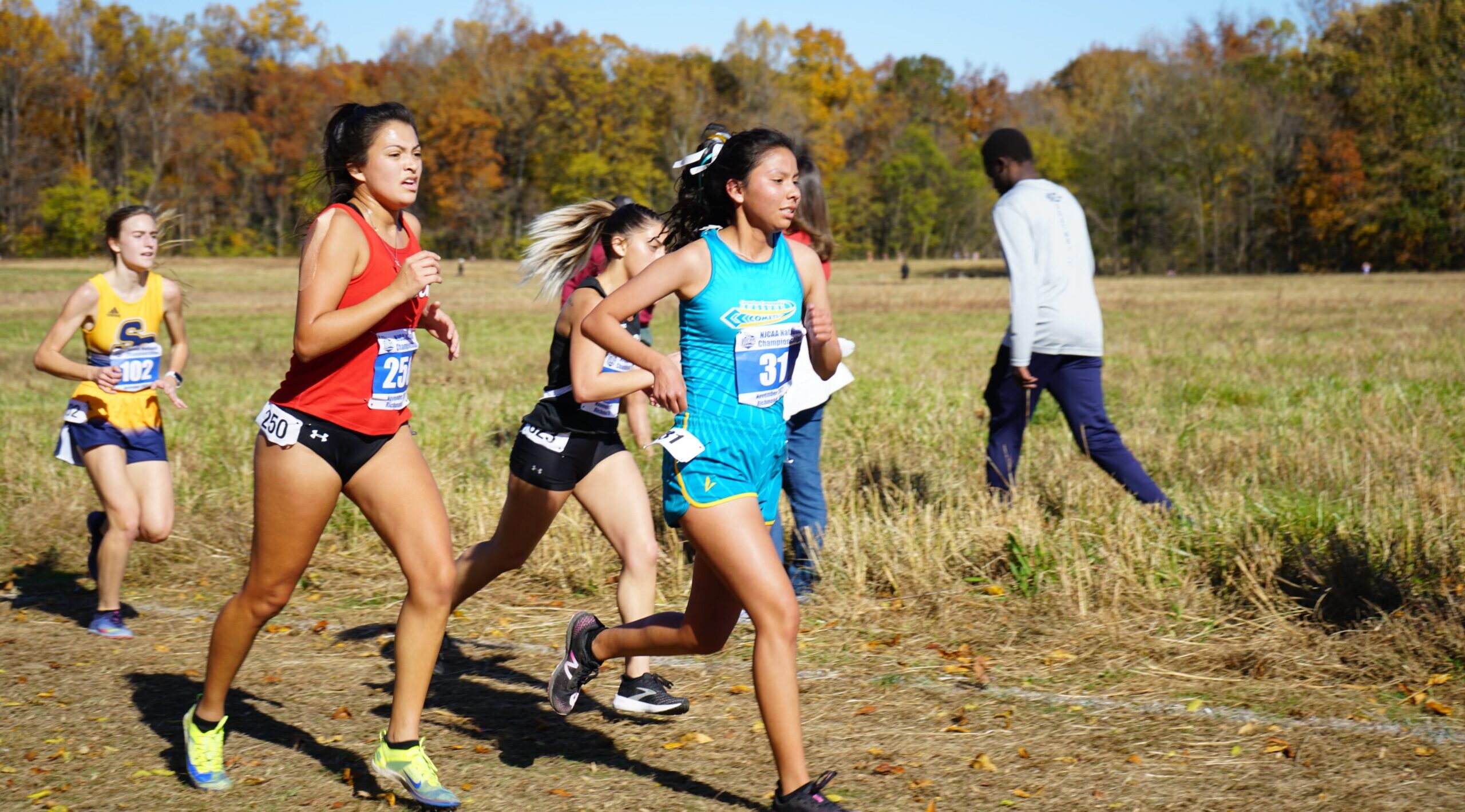 A group of cross country runners battling it out through a grassy field.