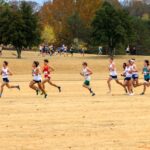 A pack of cross country runners racing through an open field.