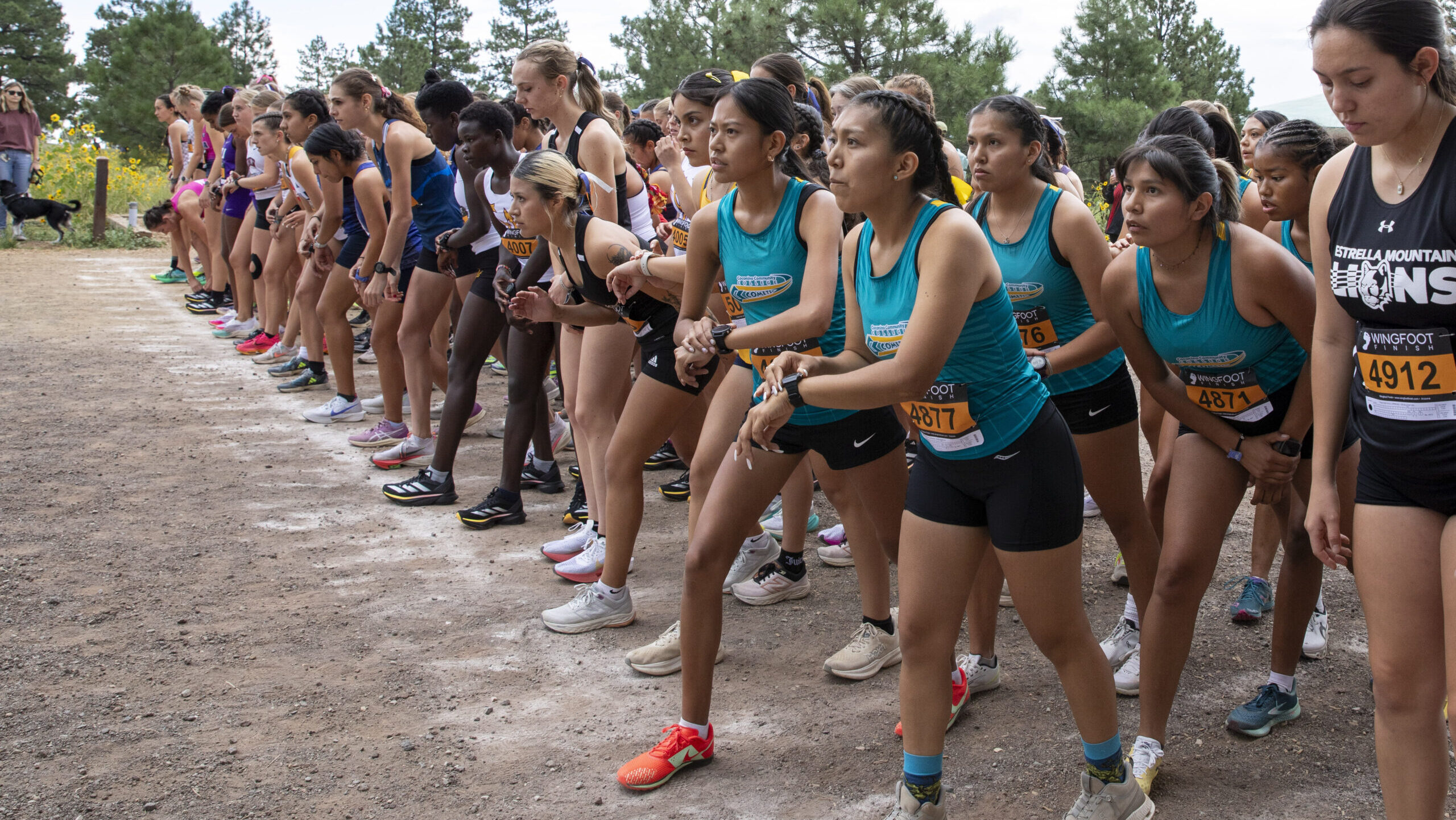 Female runners lined up for the start of a cross country race.