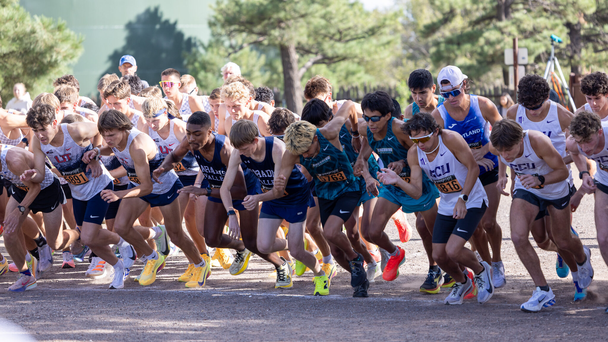Start of a men's cross country race.